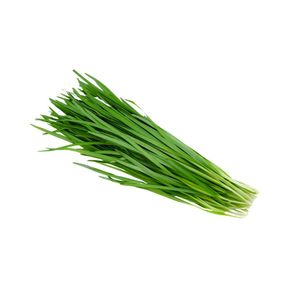 Tulima Chives