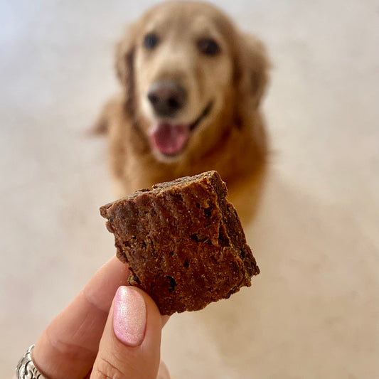 Dog Treats