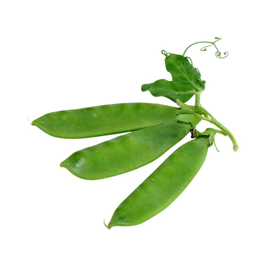 Tulima Snap beans 250g