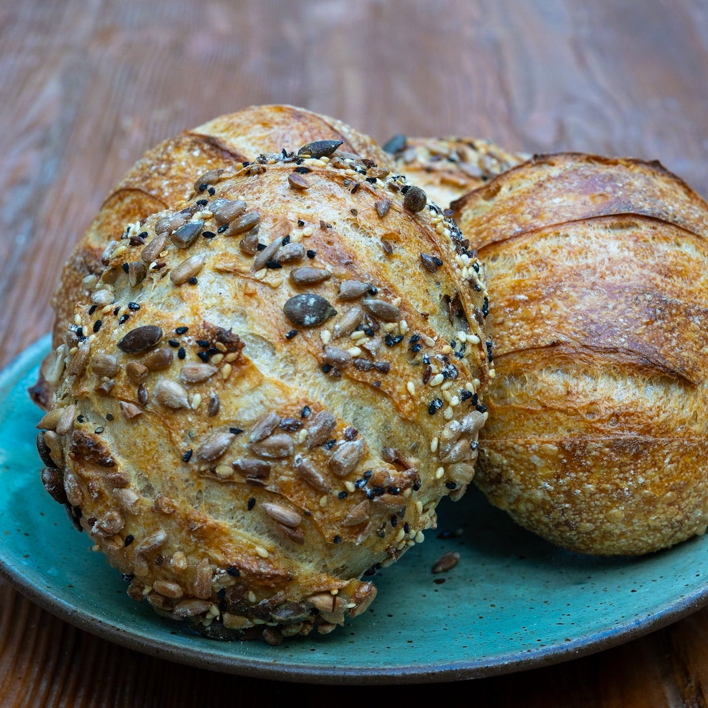 Dinner Rolls
