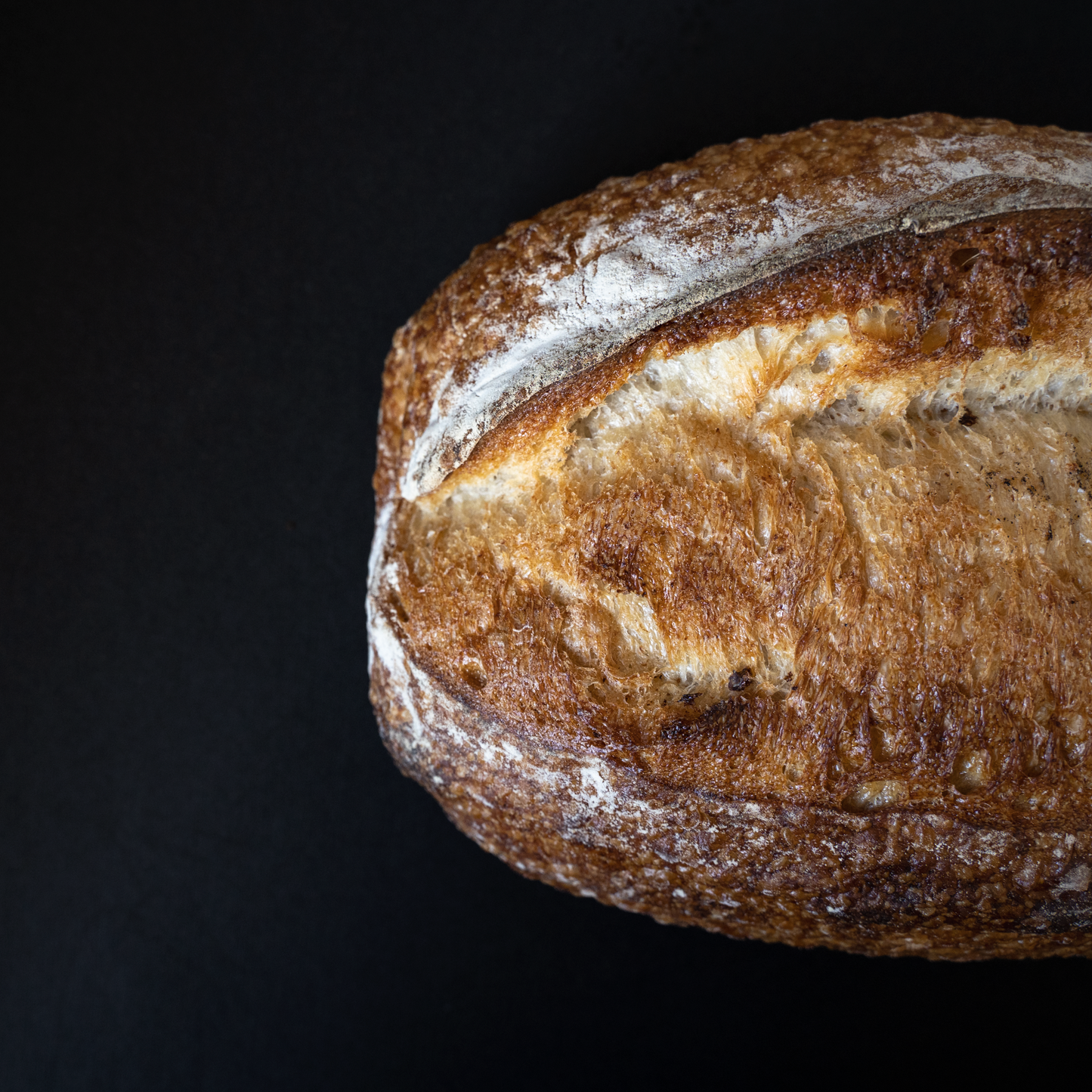 Country White Sourdough