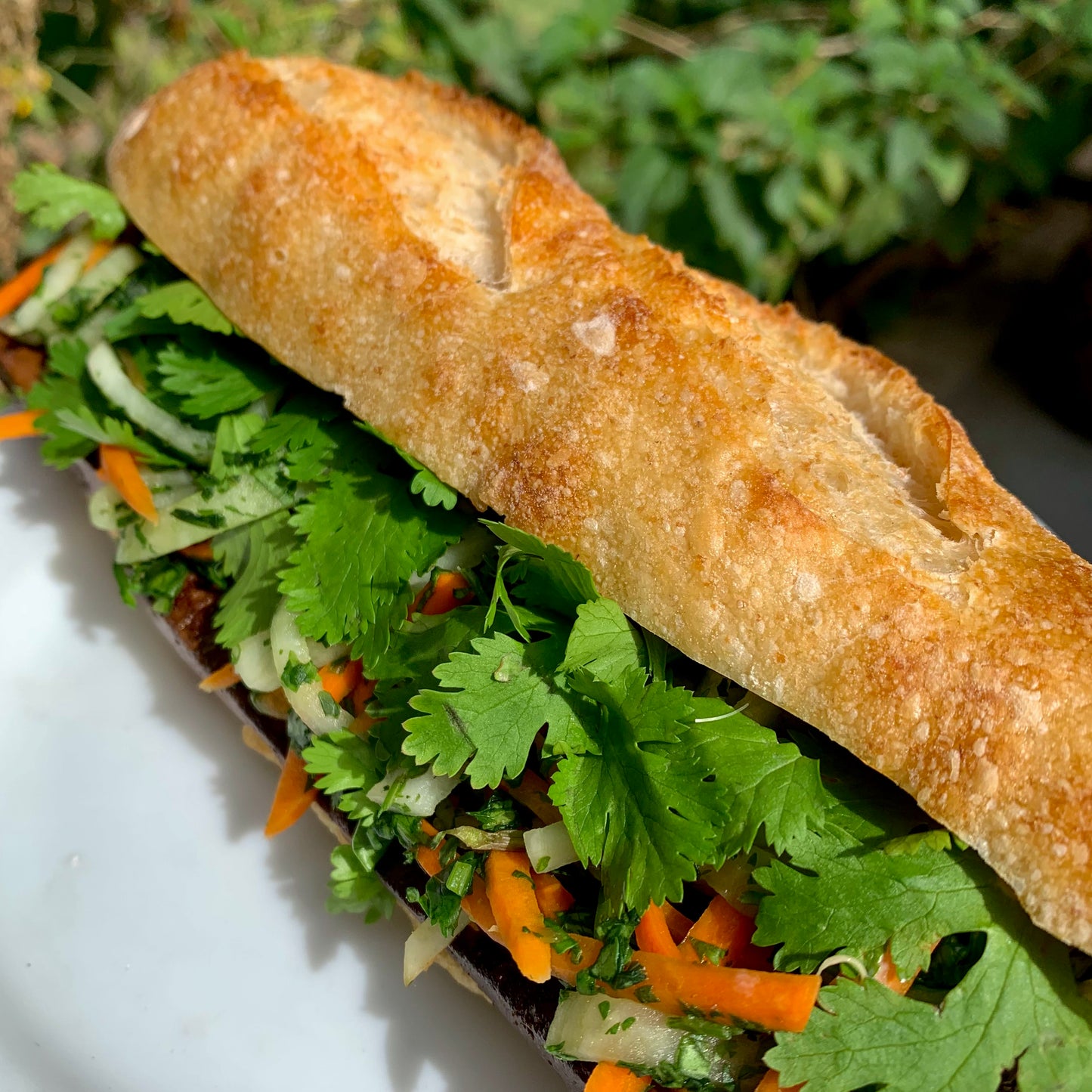 Bánh mì Sandwich