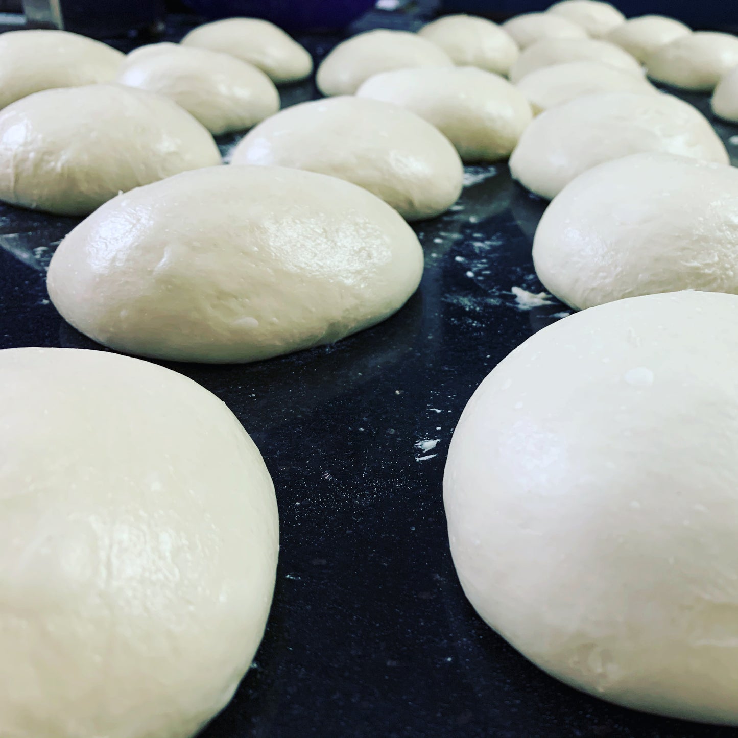 Frozen Pizza Dough