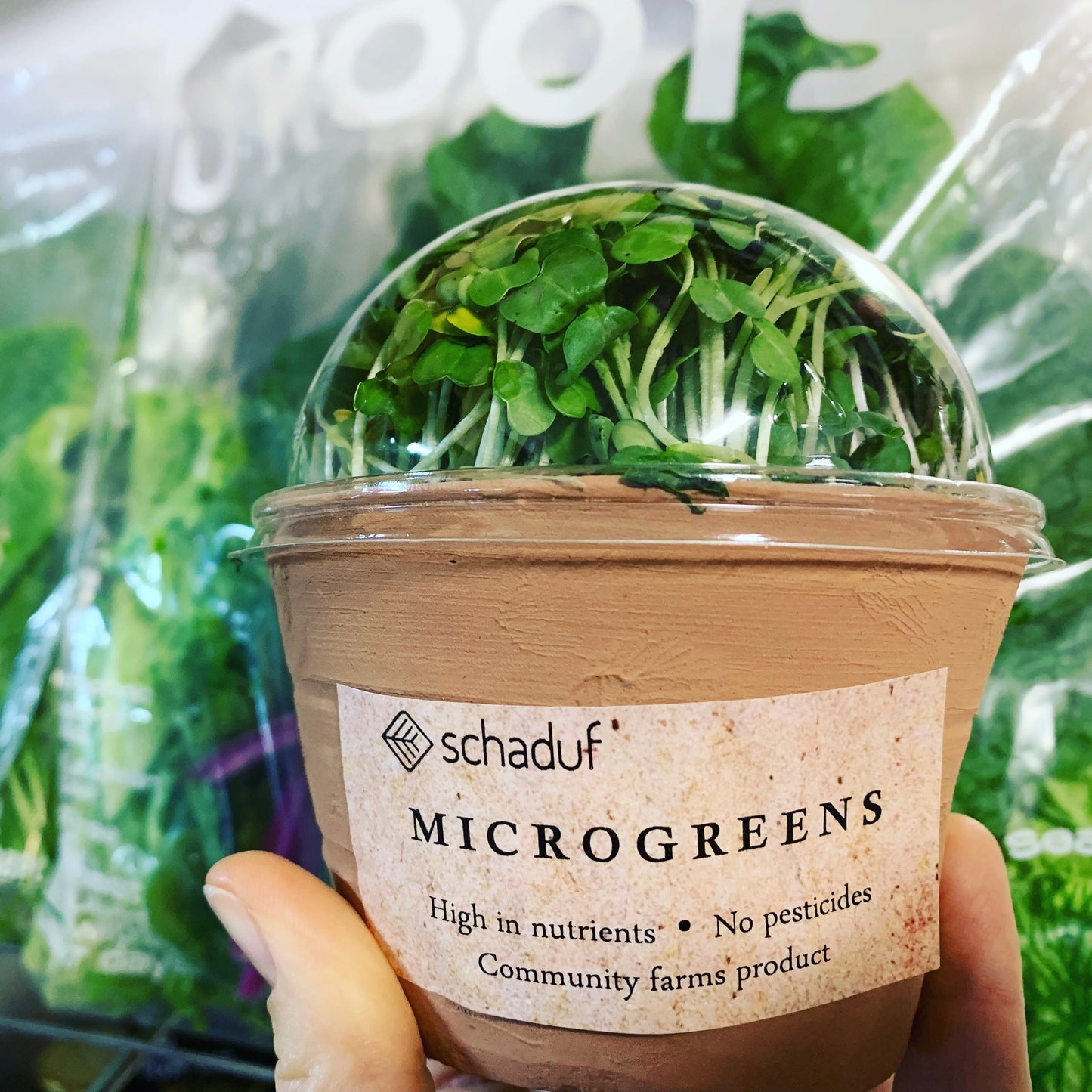 Microgreens