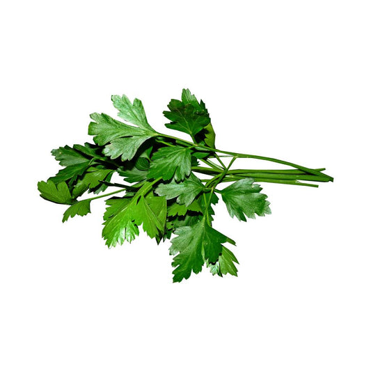 Tulima Parsley