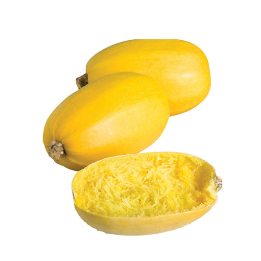 Tulima Spaghetti Squash