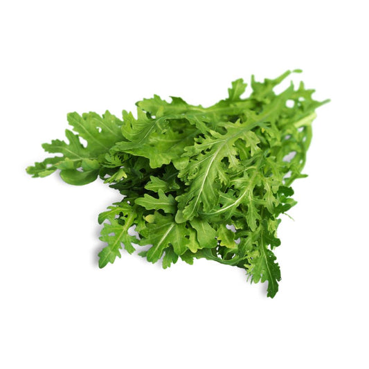 Tulima Arugula Baby