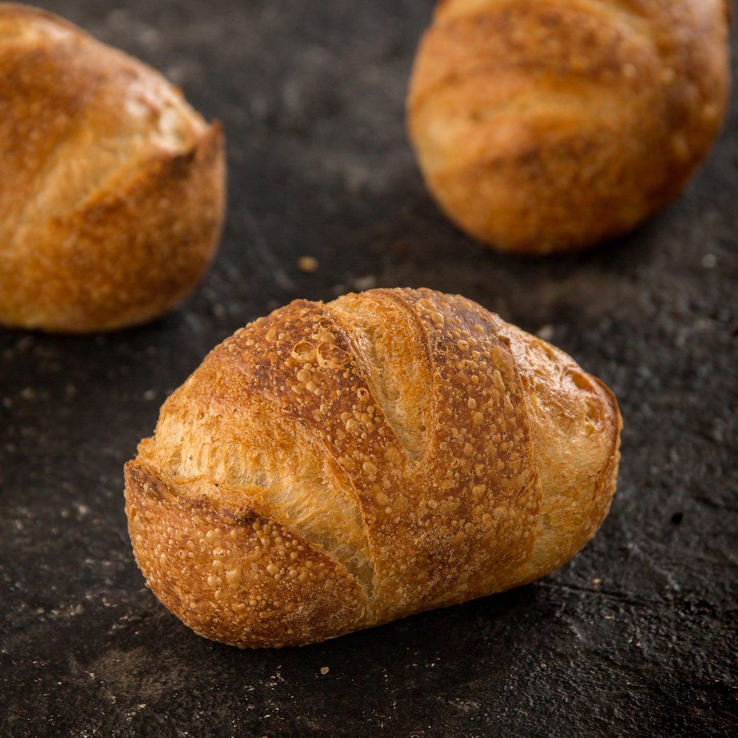 Dinner Rolls