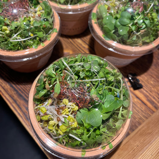 Microgreens