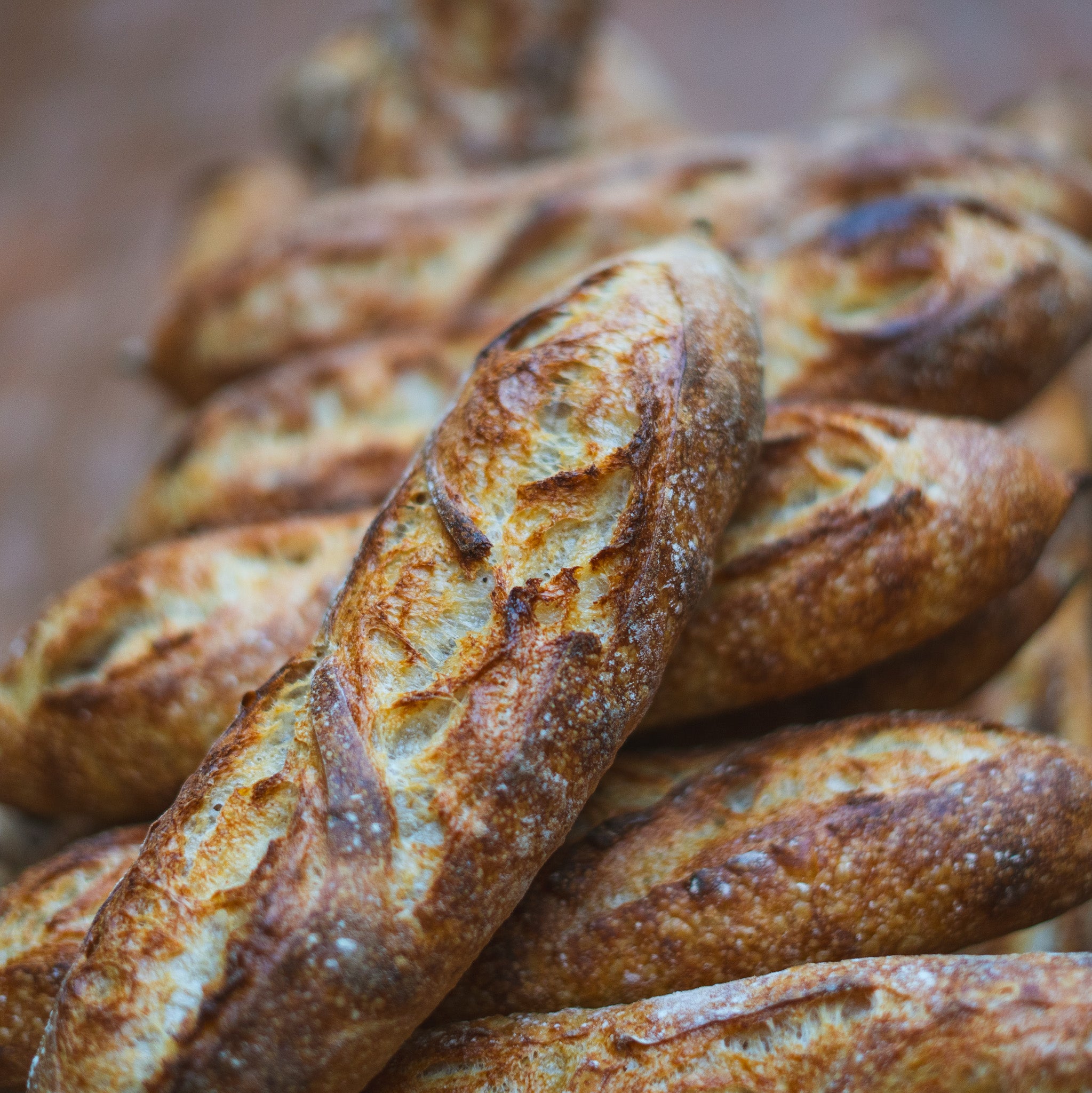 Bread – Ratios