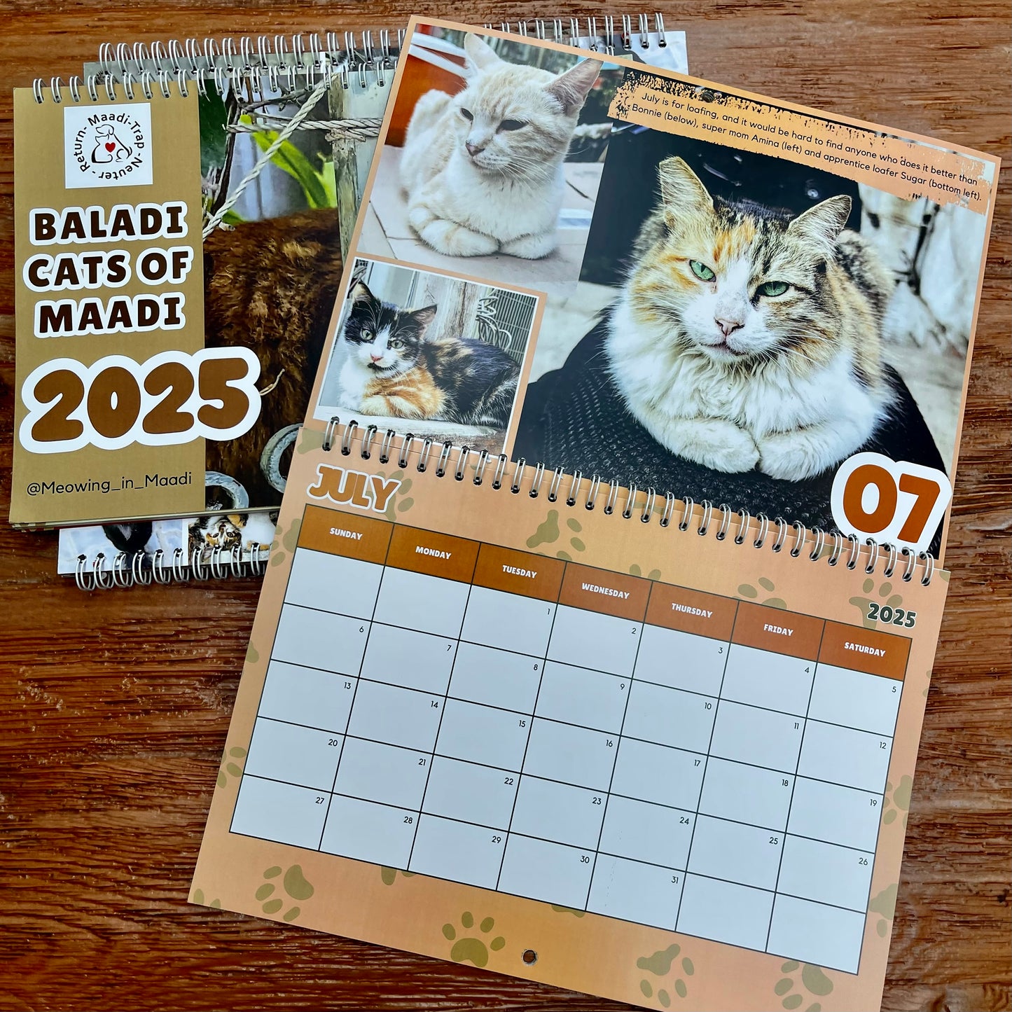 2025 Maadi Cats Calendar