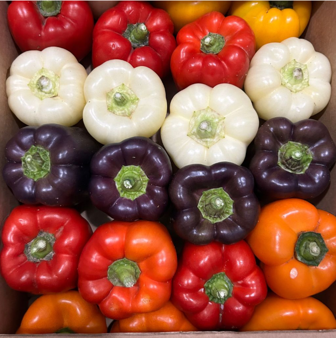 Orange Bell Pepper [ 400g ]