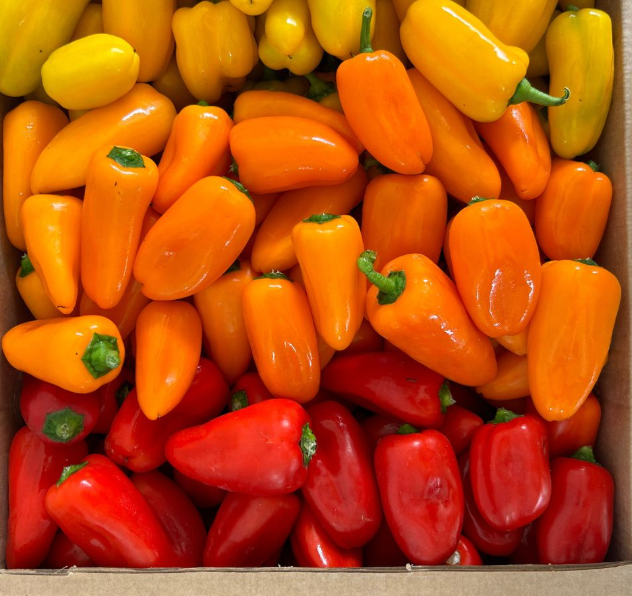 Snack Pepper Mix [ 200g ]