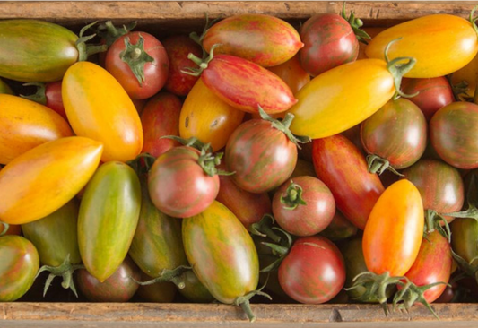 Artisan Tomato [ 500g ]