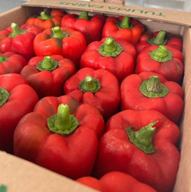 Red Bell Pepper [ 500g ]