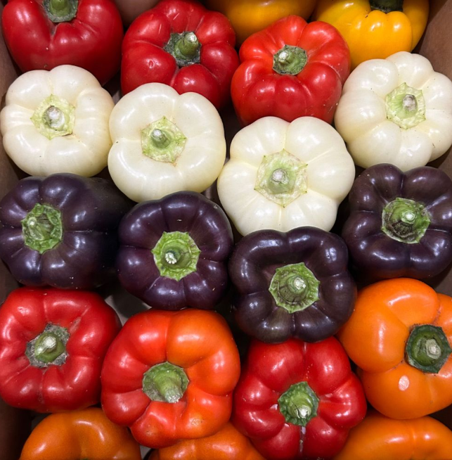 Bell Pepper Mix [ 500g ]