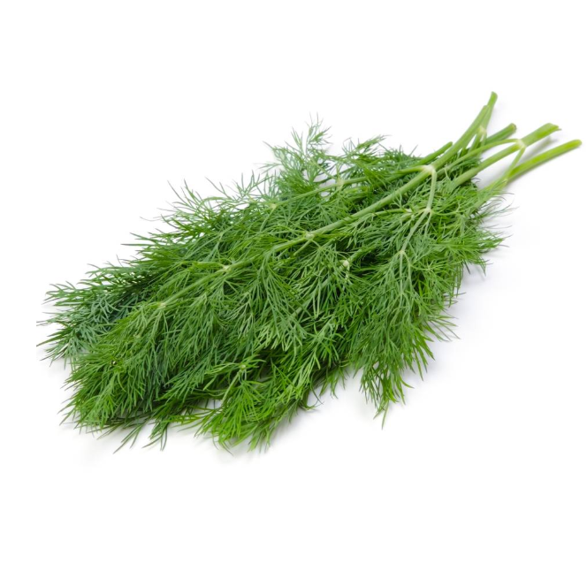 Dill [ 125g ]