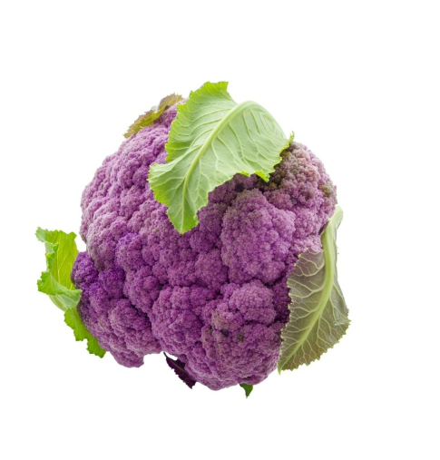 Purple Cauliflower [ Head ]