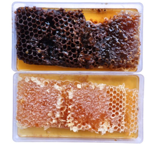 NEW - Heirloom Ivy Honeycomb