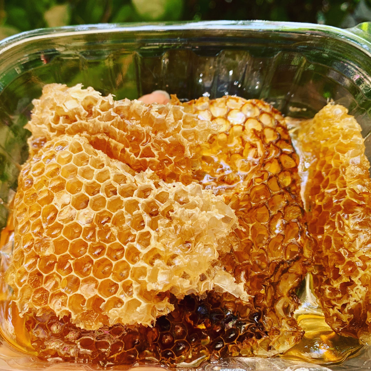 Bare Honey Raw Honeycomb